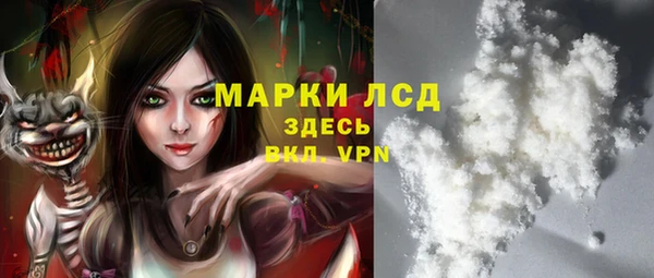 стафф Арсеньев