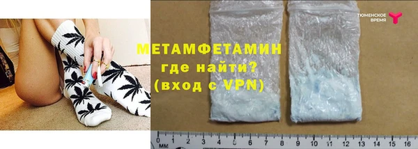 прущие грибы Медногорск