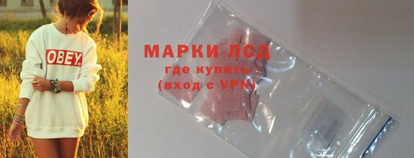 стафф Арсеньев