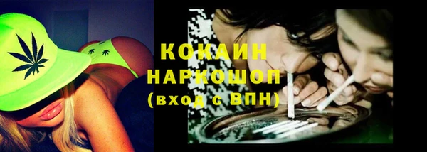 стафф Арсеньев