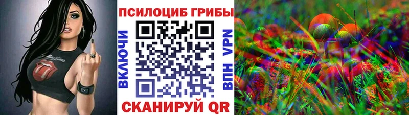 купить  сайты  Полесск  Галлюциногенные грибы мухоморы 