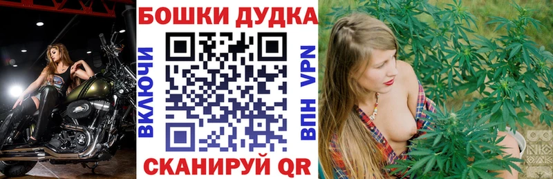 Бошки Шишки SATIVA & INDICA  где найти   Полесск 